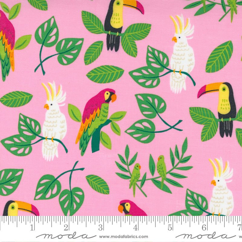 „Jungle Paradise“ Stoffzuschnitt – 2,5 x 44 Inch (ca. 6,3 x 110 cm)