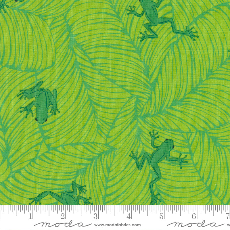 „Jungle Paradise“ Stoffzuschnitt – 2,5 x 44 Inch (ca. 6,3 x 110 cm)