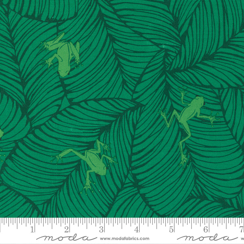 „Jungle Paradise“ Stoffzuschnitt – 2,5 x 44 Inch (ca. 6,3 x 110 cm)