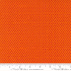 „Jungle Paradise“ Stoffzuschnitt – 2,5 x 44 Inch (ca. 6,3 x 110 cm)