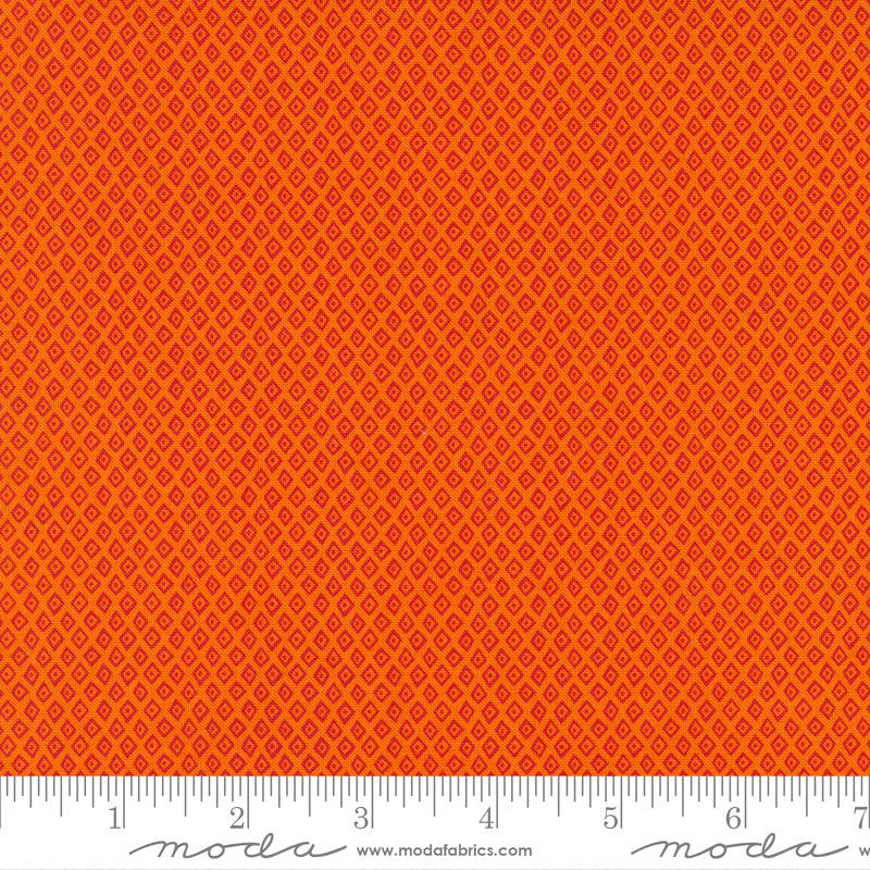 „Jungle Paradise“ Stoffzuschnitt – 2,5 x 44 Inch (ca. 6,3 x 110 cm)