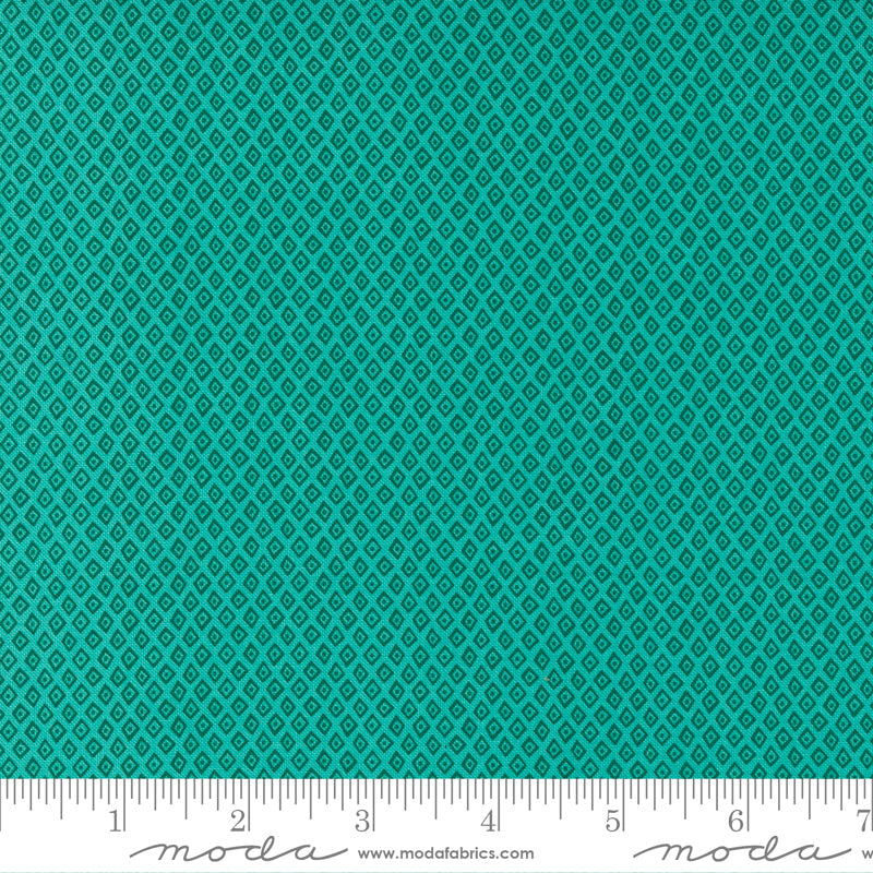 „Jungle Paradise“ Stoffzuschnitt – 2,5 x 44 Inch (ca. 6,3 x 110 cm)