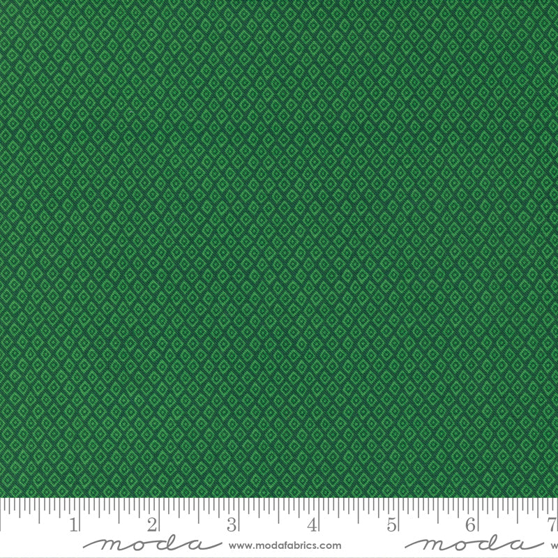 „Jungle Paradise“ Stoffzuschnitt – 2,5 x 44 Inch (ca. 6,3 x 110 cm)