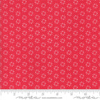 „Wanderlust“ Stoffzuschnitt – 2,5 x 44 Inch (ca. 6,3 x 110 cm)