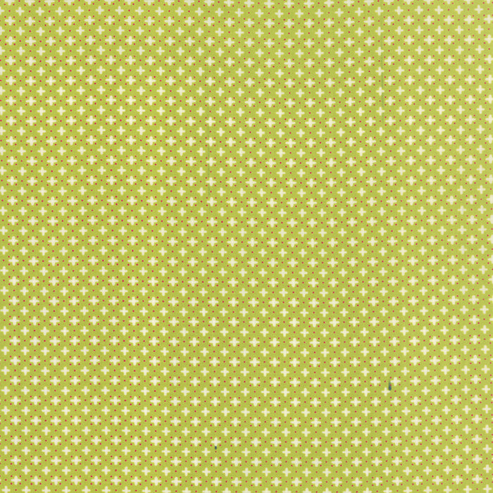 „Hometown Girl“ Stoffzuschnitt – 2,5 x 44 Inch (ca. 6,3 x 110 cm)