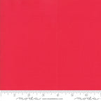 „Wanderlust“ Stoffzuschnitt – 2,5 x 44 Inch (ca. 6,3 x 110 cm)