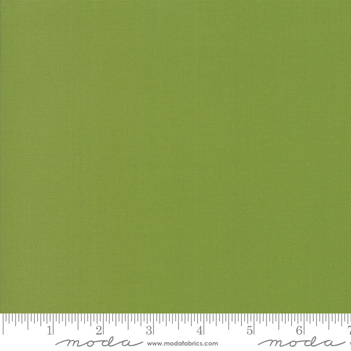 „Wanderlust“ Stoffzuschnitt – 2,5 x 44 Inch (ca. 6,3 x 110 cm)