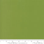 „Wanderlust“ Stoffzuschnitt – 2,5 x 44 Inch (ca. 6,3 x 110 cm)