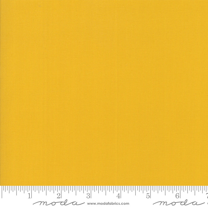„Wanderlust“ Stoffzuschnitt – 2,5 x 44 Inch (ca. 6,3 x 110 cm)