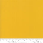 „Wanderlust“ Stoffzuschnitt – 2,5 x 44 Inch (ca. 6,3 x 110 cm)