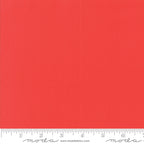 „Wanderlust“ Stoffzuschnitt – 2,5 x 44 Inch (ca. 6,3 x 110 cm)